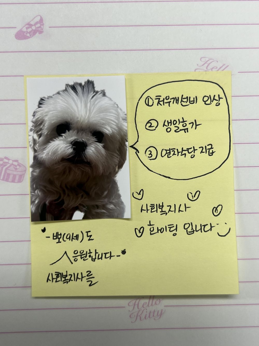 KakaoTalk_20250313_141542312.jpg